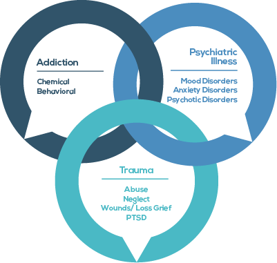 Promises Behavioral Health Venn Diagram 401 by 381 pixels transparent background