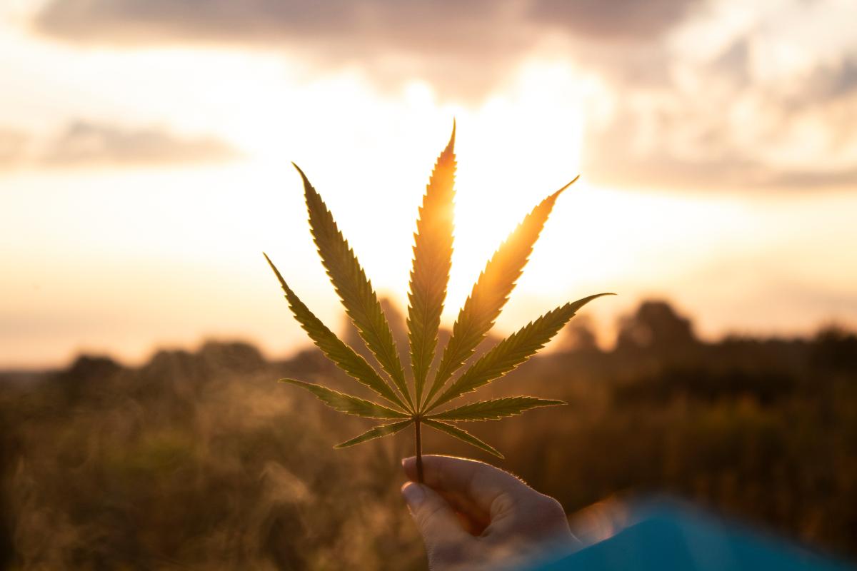 Is Weed a Drug? | Marijuana Addiction Treatment Center FL