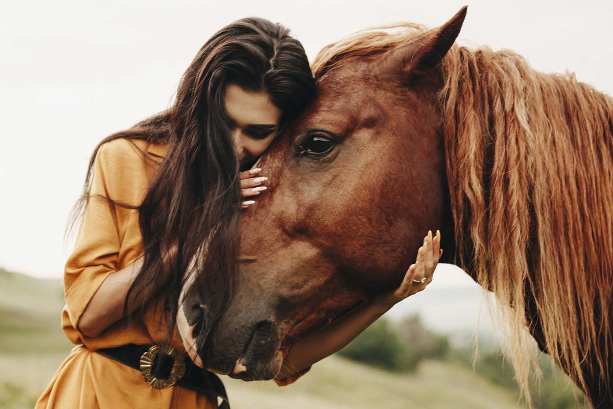Equine Therapy: Healing Horses - Promises Behavioral Health